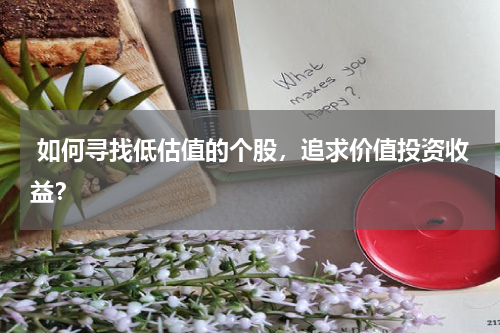  如何寻找低估值的个股，追求价值投资收益？