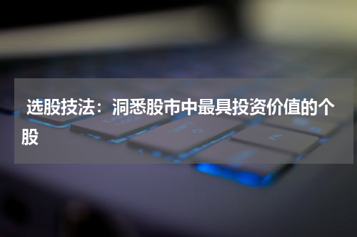  选股技法：洞悉股市中最具投资价值的个股