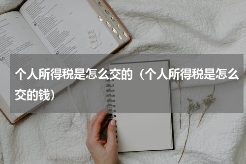 个人所得税是怎么交的（个人所得税是怎么交的钱）