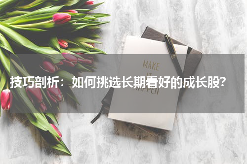  技巧剖析：如何挑选长期看好的成长股？