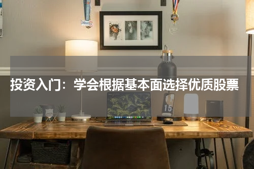  投资入门：学会根据基本面选择优质股票