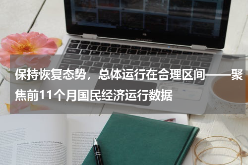 保持恢复态势，总体运行在合理区间——聚焦前11个月国民经济运行数据