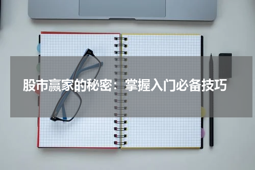  股市赢家的秘密：掌握入门必备技巧