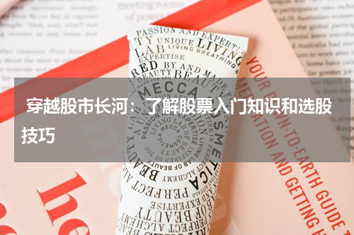  穿越股市长河：了解股票入门知识和选股技巧