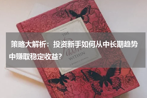  策略大解析：投资新手如何从中长期趋势中赚取稳定收益？