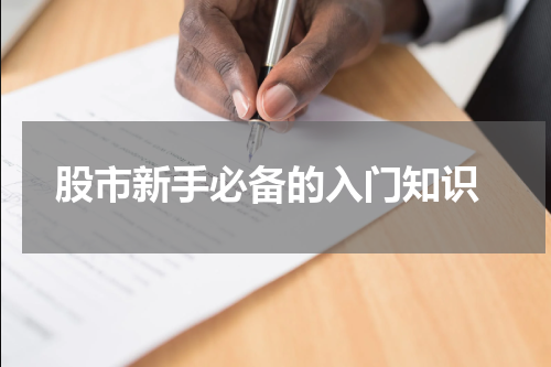  股市新手必备的入门知识