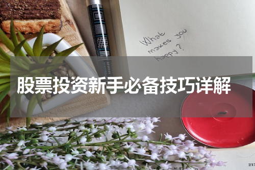  股票投资新手必备技巧详解