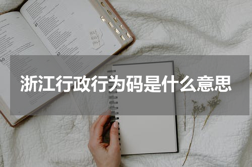 浙江行政行为码是什么意思