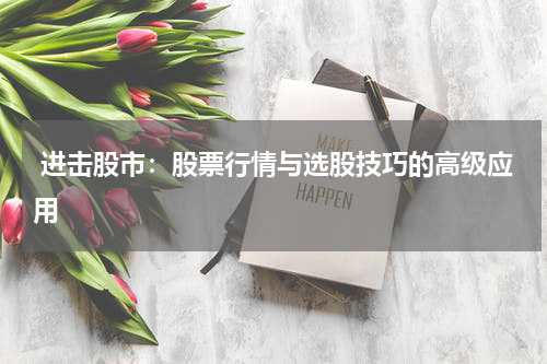  进击股市：股票行情与选股技巧的高级应用