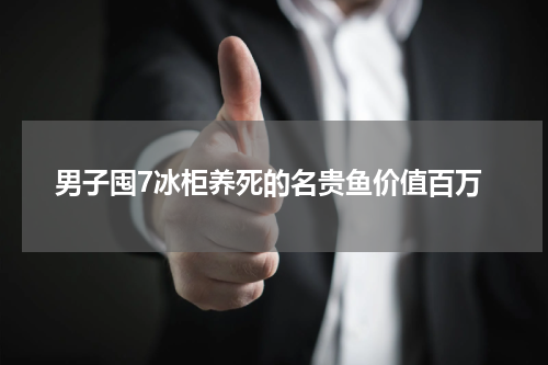 男子囤7冰柜养死的名贵鱼价值百万