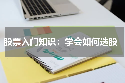  股票入门知识：学会如何选股