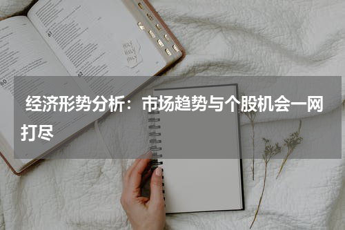  经济形势分析：市场趋势与个股机会一网打尽
