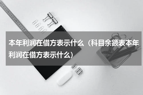 本年利润在借方表示什么（科目余额表本年利润在借方表示什么）