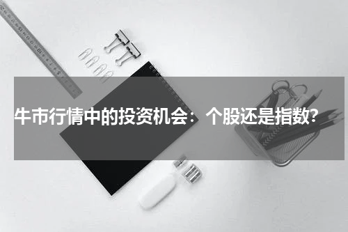  牛市行情中的投资机会：个股还是指数？