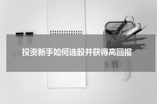  投资新手如何选股并获得高回报