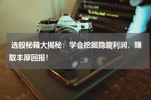  选股秘籍大揭秘：学会挖掘隐藏利润，赚取丰厚回报！
