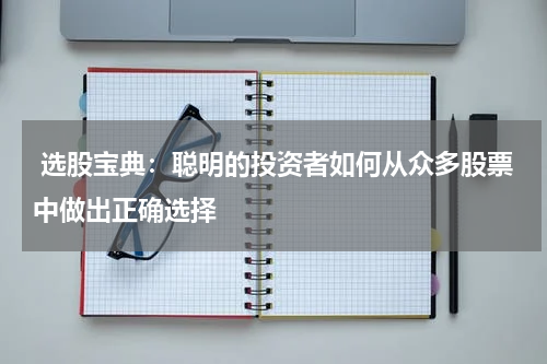  选股宝典：聪明的投资者如何从众多股票中做出正确选择