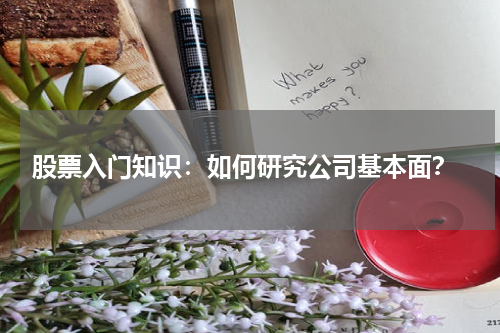  股票入门知识：如何研究公司基本面？