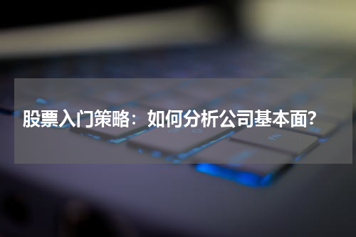  股票入门策略：如何分析公司基本面？
