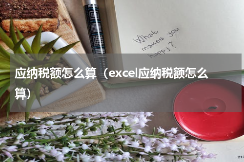 应纳税额怎么算（excel应纳税额怎么算）