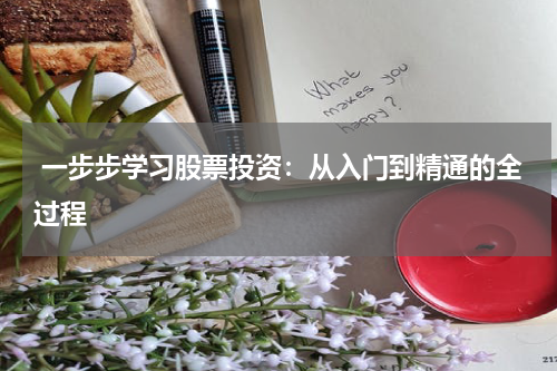  一步步学习股票投资：从入门到精通的全过程