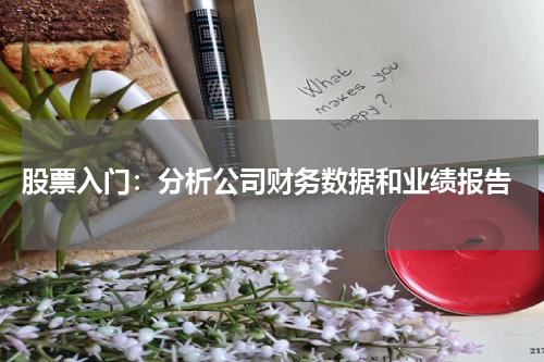  股票入门：分析公司财务数据和业绩报告
