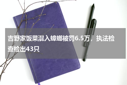 吉野家饭菜混入蟑螂被罚6.5万，执法检查检出43只