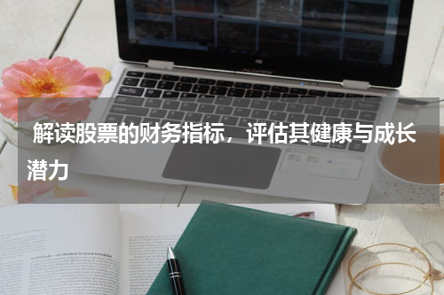  解读股票的财务指标，评估其健康与成长潜力