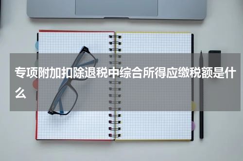 专项附加扣除退税中综合所得应缴税额是什么