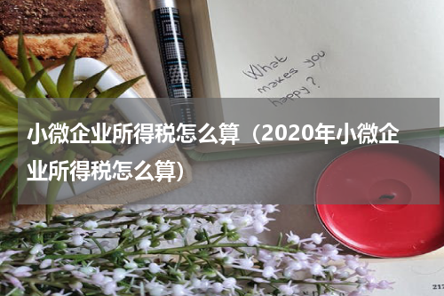 小微企业所得税怎么算（2020年小微企业所得税怎么算）
