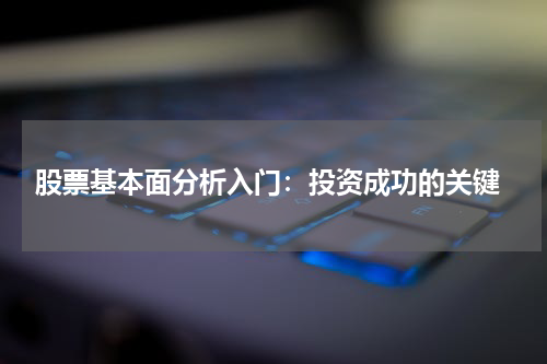 股票基本面分析入门：投资成功的关键