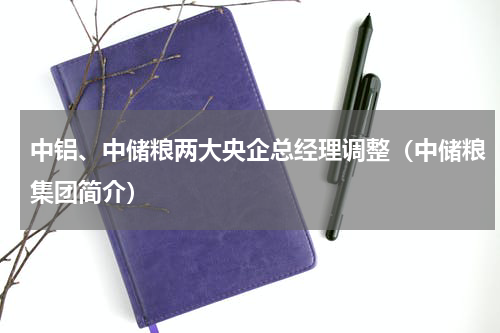 中铝、中储粮两大央企总经理调整（中储粮集团简介）