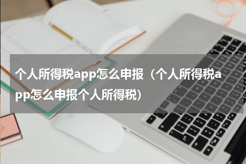 个人所得税app怎么申报（个人所得税app怎么申报个人所得税）