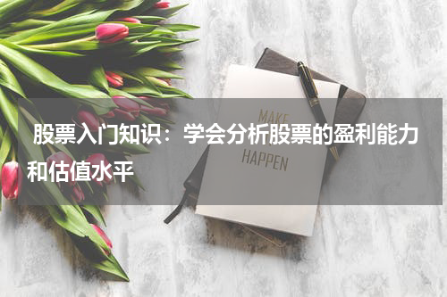  股票入门知识：学会分析股票的盈利能力和估值水平