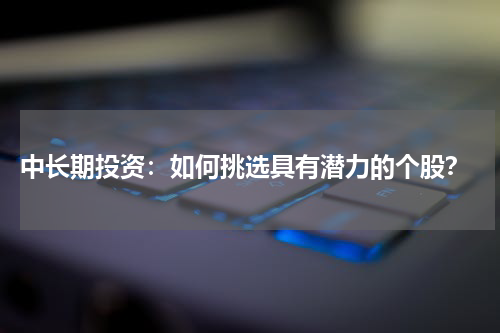  中长期投资：如何挑选具有潜力的个股？