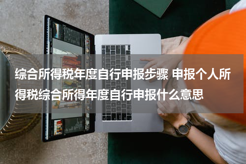综合所得税年度自行申报步骤 申报个人所得税综合所得年度自行申报什么意思