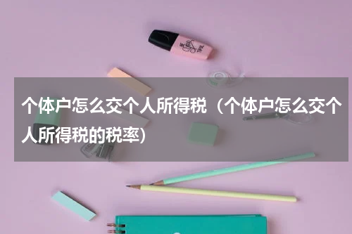 个体户怎么交个人所得税（个体户怎么交个人所得税的税率）