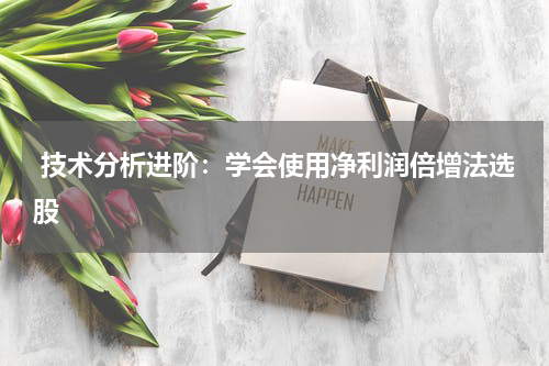  技术分析进阶：学会使用净利润倍增法选股