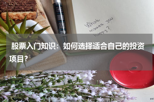  股票入门知识：如何选择适合自己的投资项目？