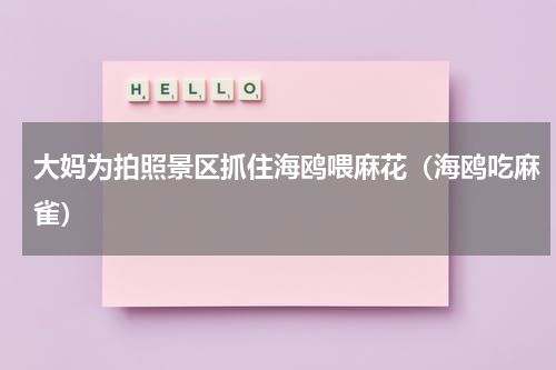 大妈为拍照景区抓住海鸥喂麻花（海鸥吃麻雀）