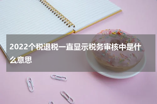 2022个税退税一直显示税务审核中是什么意思