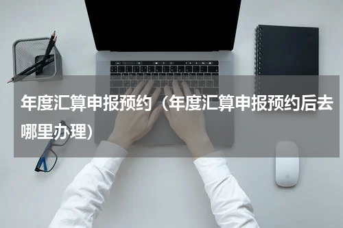 年度汇算申报预约（年度汇算申报预约后去哪里办理）