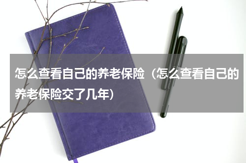 怎么查看自己的养老保险（怎么查看自己的养老保险交了几年）