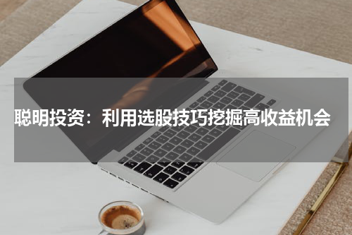  聪明投资：利用选股技巧挖掘高收益机会
