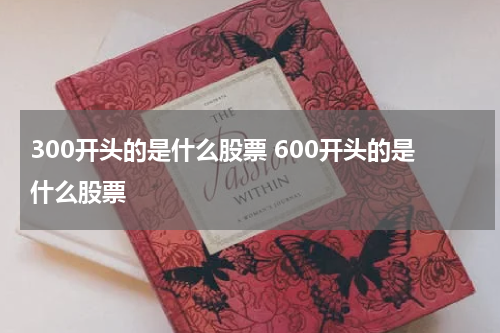 300开头的是什么股票 600开头的是什么股票