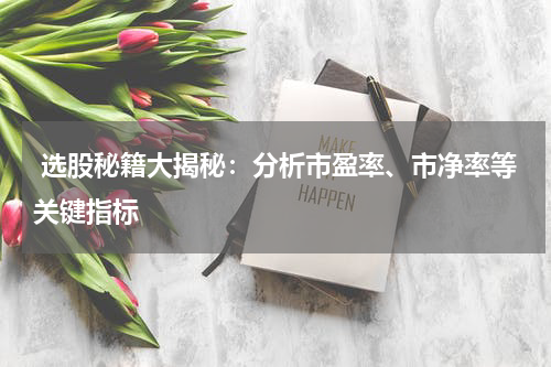  选股秘籍大揭秘：分析市盈率、市净率等关键指标