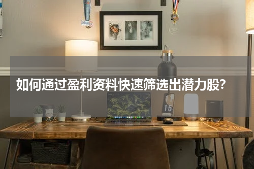  如何通过盈利资料快速筛选出潜力股？