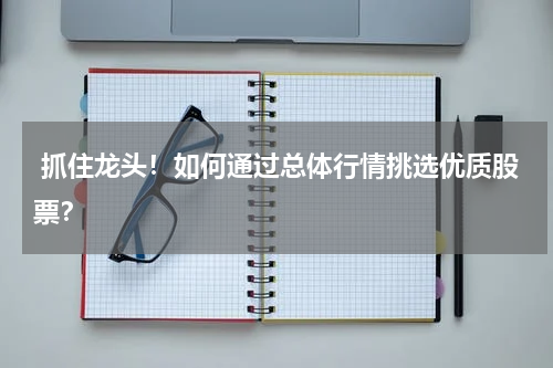  抓住龙头！如何通过总体行情挑选优质股票？