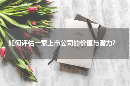  如何评估一家上市公司的价值与潜力？