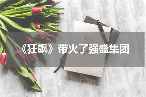 《狂飙》带火了强盛集团